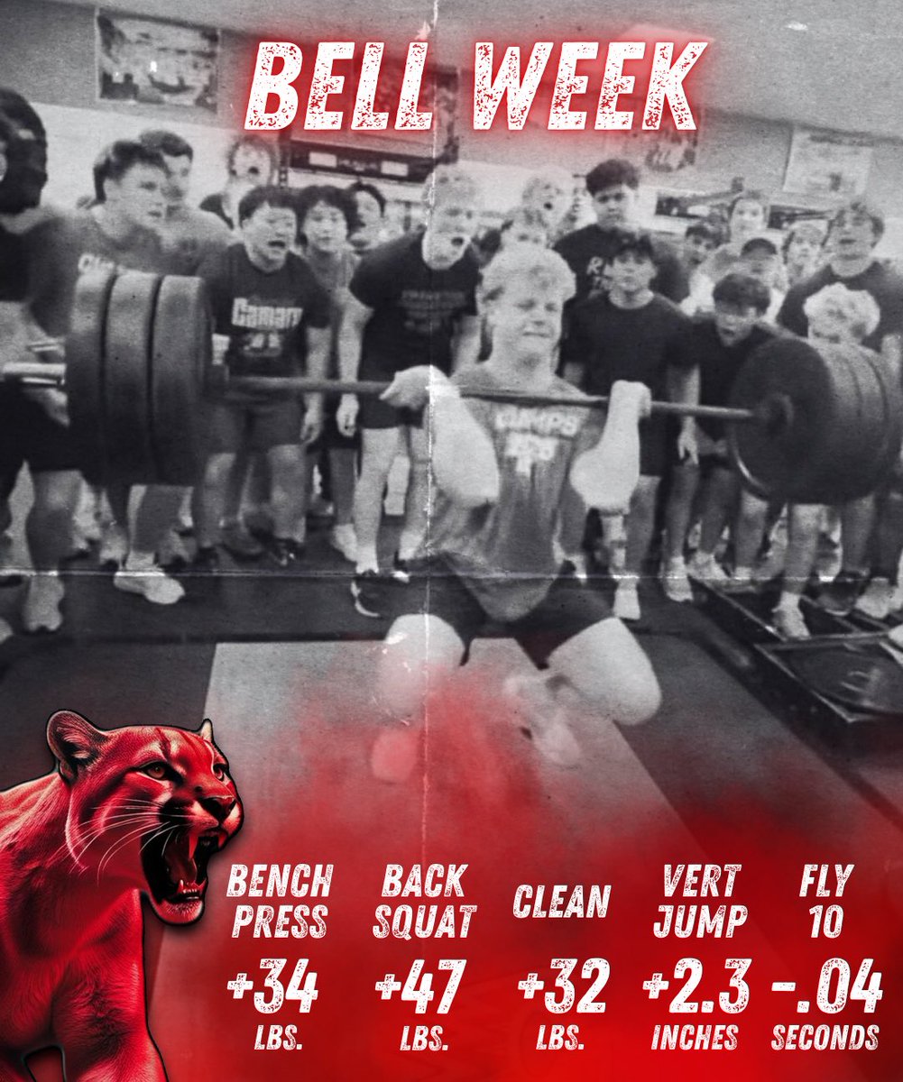 Cougar Strength tweet media