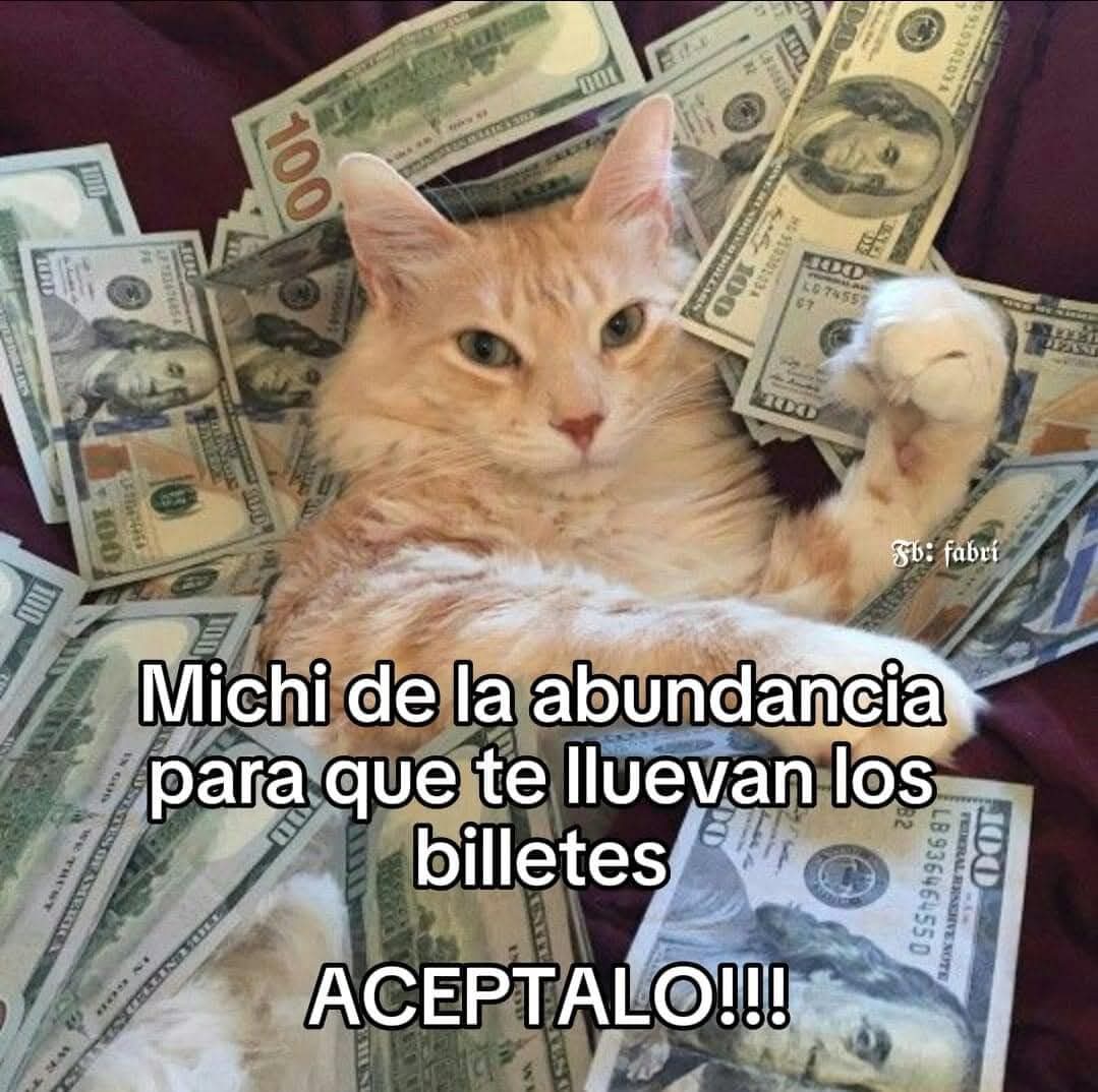 En Júpiter (@en_jupiter_) on Twitter photo 