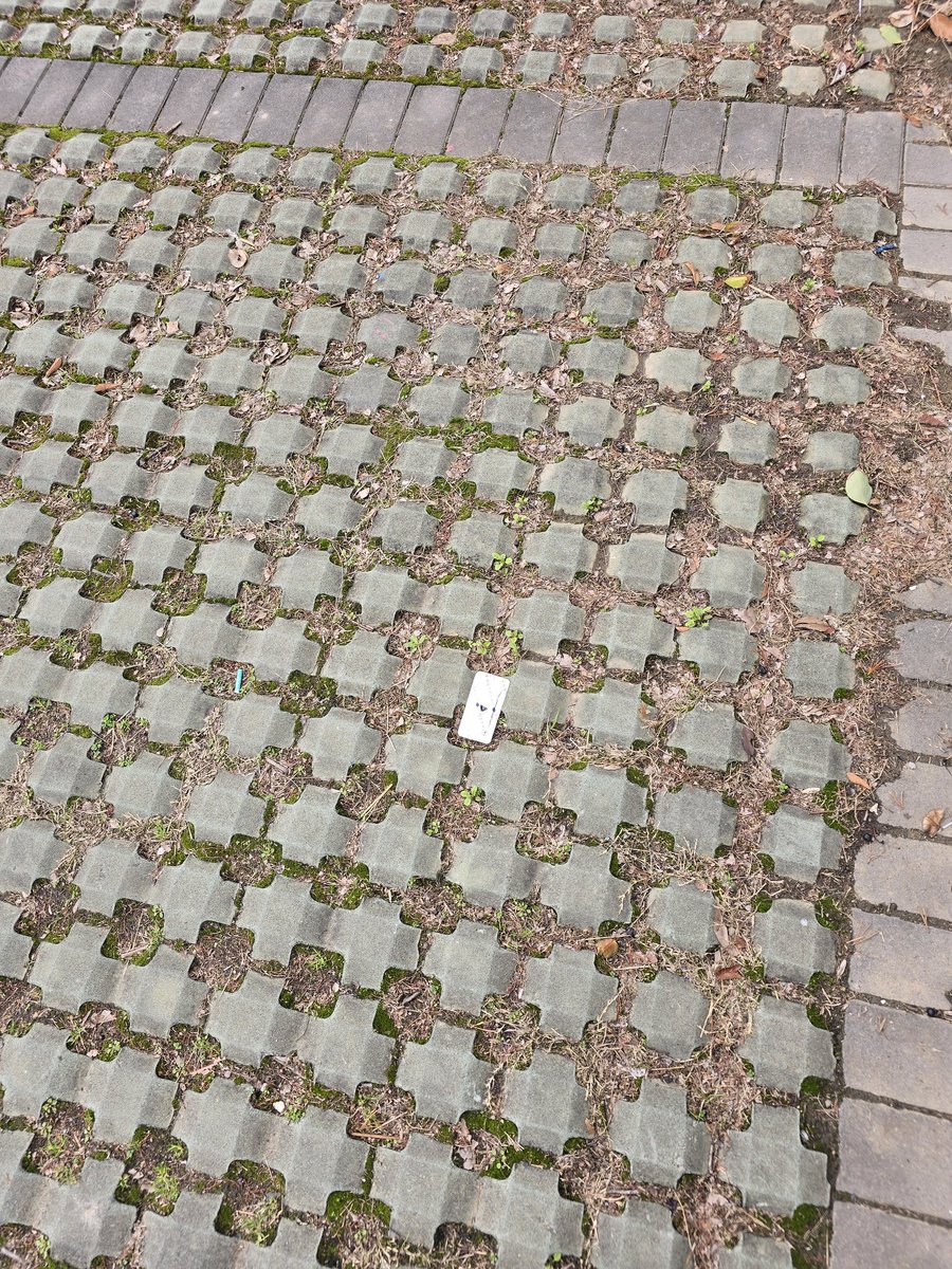 𝖍𝖆𝖗𝖗𝖞 | 哈里 tweet media