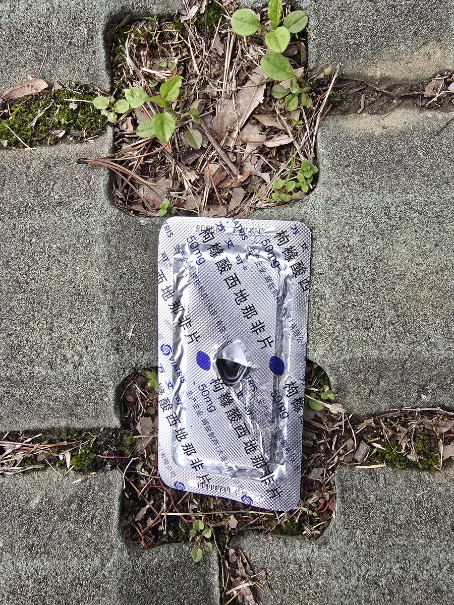 𝖍𝖆𝖗𝖗𝖞 | 哈里 tweet media