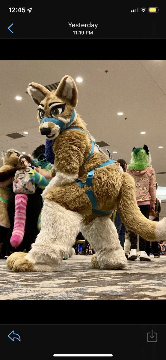 EscoDingo's tweet photo. WHO am I gonna see at #TFF #TFF2026???? I’ll be rocking Esco of course as well as Shadow and MAYBE my lemur partial if I can finish her head in time! Locking in 😤 https://t.co/Ftj6qlEtfZ