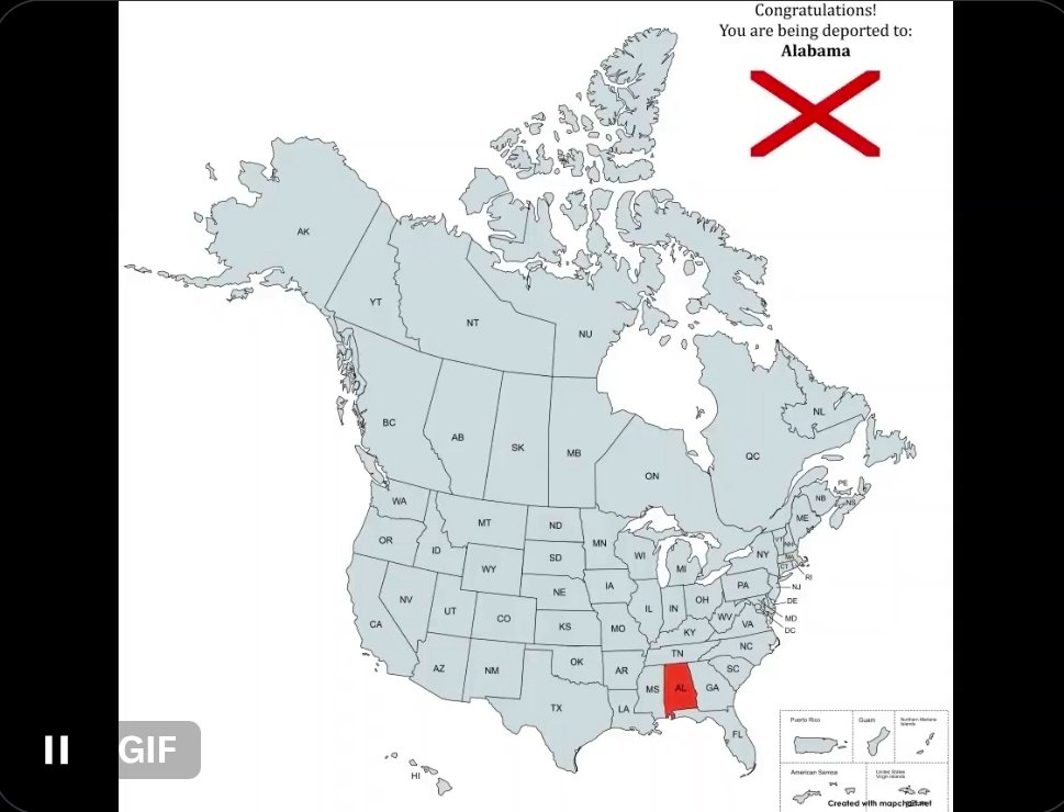 AmyMc 🏳️‍⚧️ tweet media