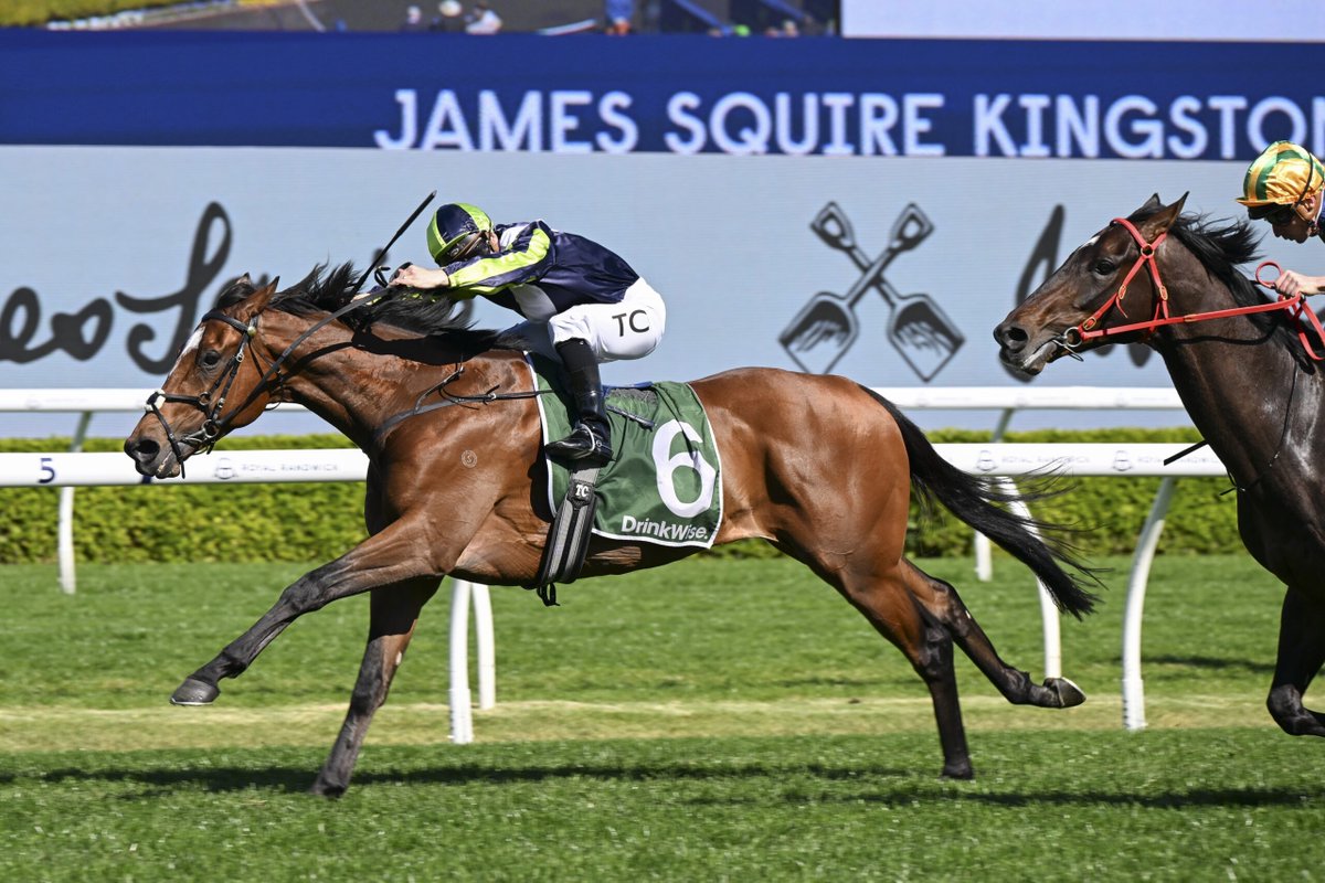 Andrew Hawkins tweet media