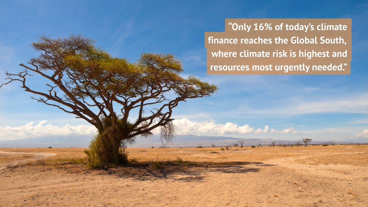 OrdaEarth's tweet photo. 🤔Did you know? Only 16% of climate finance reaches the Global South where climate risk is highest. The challenge isn’t capital.  It’s credibility. Trust. Evidence.  We’re working to change that.
📌Read more at the link below. https://t.co/u5c8cuiraD

#ClimateAction #DueDiligence https://t.co/oDz3yiIIst