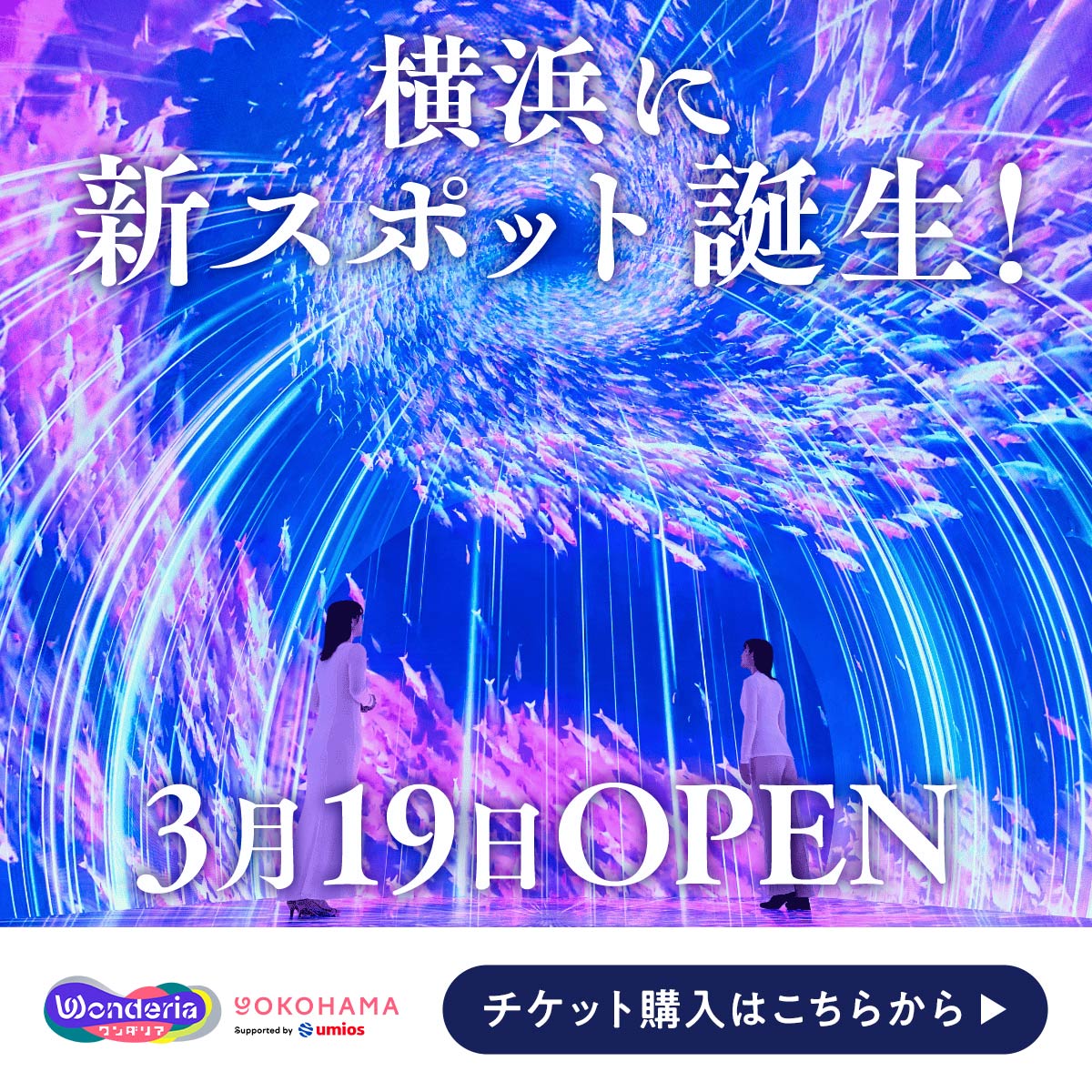 Wonderia_info's tweet photo. 横浜に新名所誕生！
空から海へ、一気にダイブする非日常体験。
これまでになかった世界へ飛び込もう。