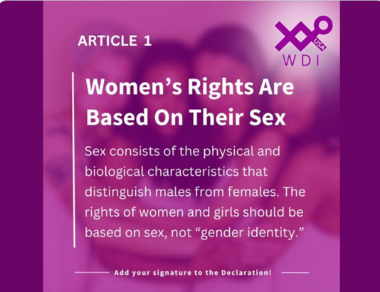 Women's Rights Party NZ tweet media