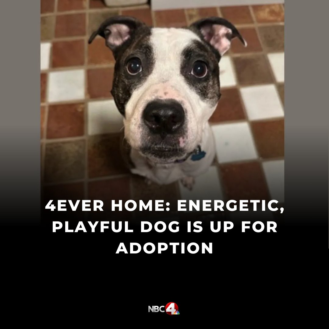 NBC4 Columbus tweet media