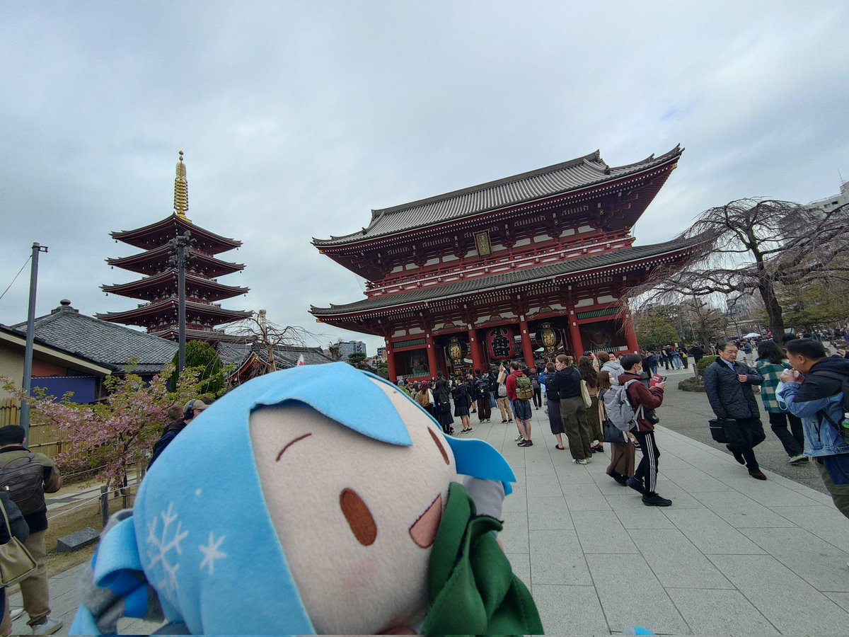 YingErJC's tweet photo. 浅草寺 大吉! https://t.co/5sxZ1mtEpL