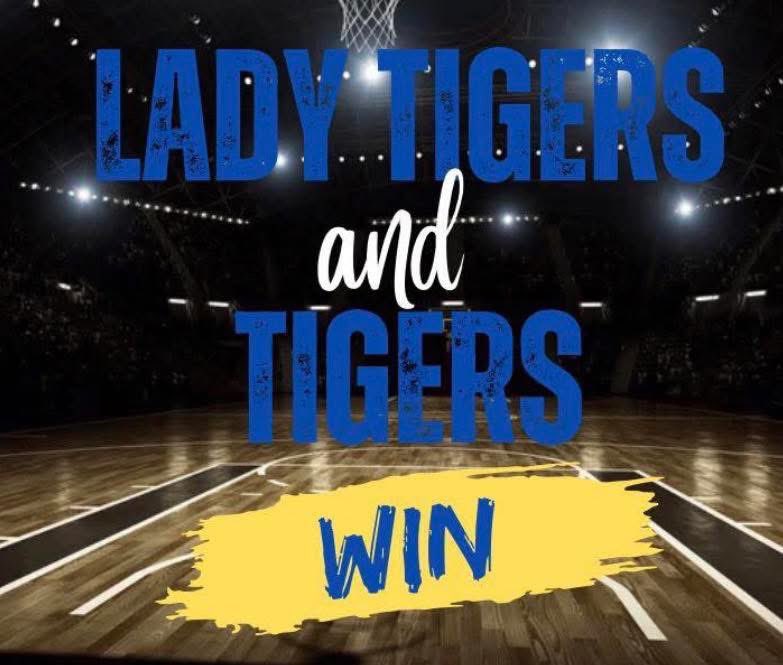 Shannon Davis tweet media