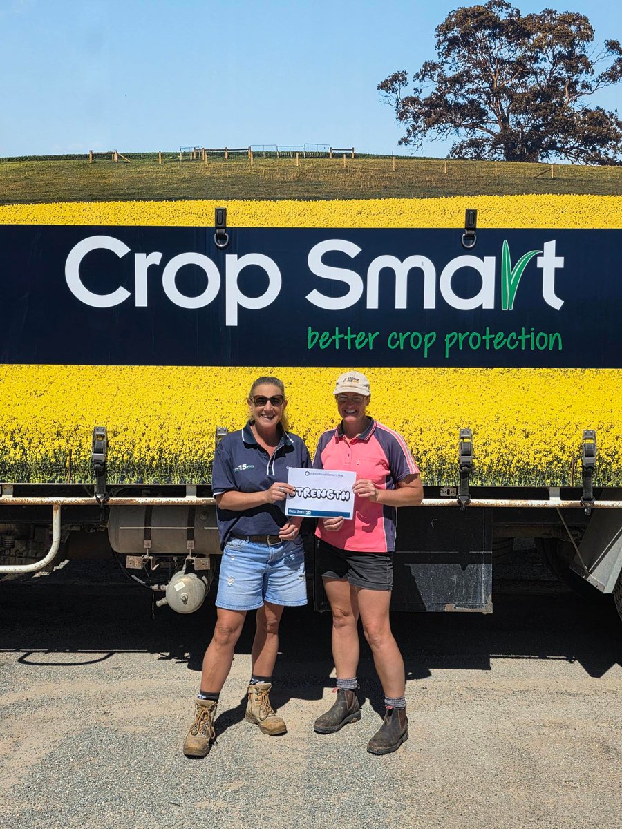 Crop Smart tweet media