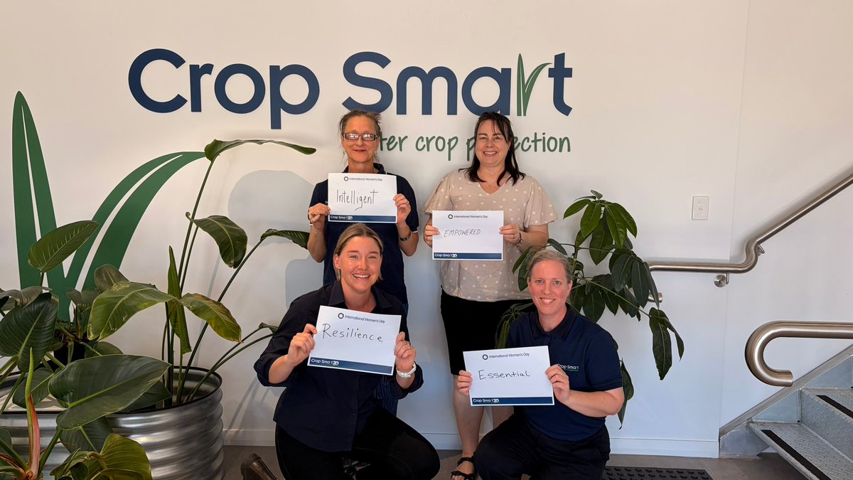 Crop Smart tweet media