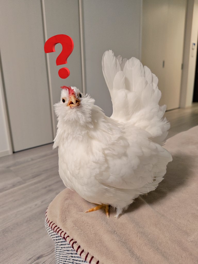 かな（アイコンは車だけど鳥アカ） tweet media