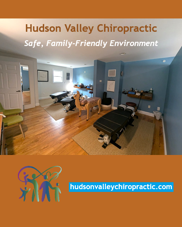 Sanctuary2016's tweet image. Our GOLD sponsor Dr. Emily Bobson, D.C., specializes in perinatal, pediatrics and family wellness. hudsonvalleychiropractic.com/pregnancy-chir…
#chiropractor #chiropractic #perinatal #pregnancy #spinalhealth #nervoussystem #healing #familywellness #pediatricchiropractic #familychiropractic