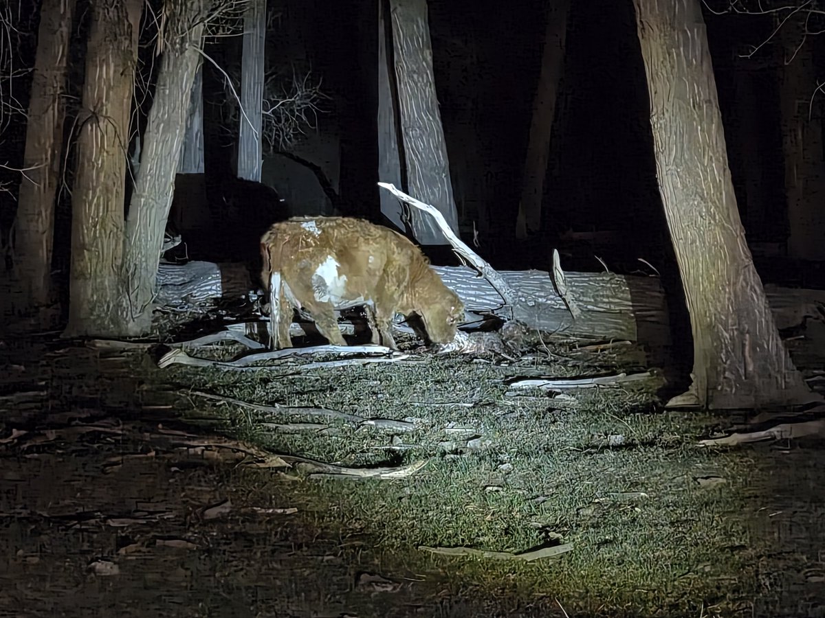 Casey Kimbrell tweet media