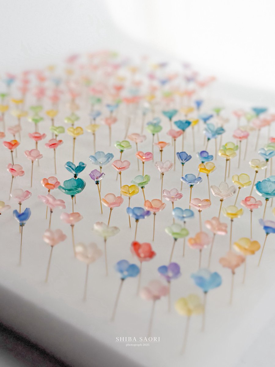 しばさおり tweet media