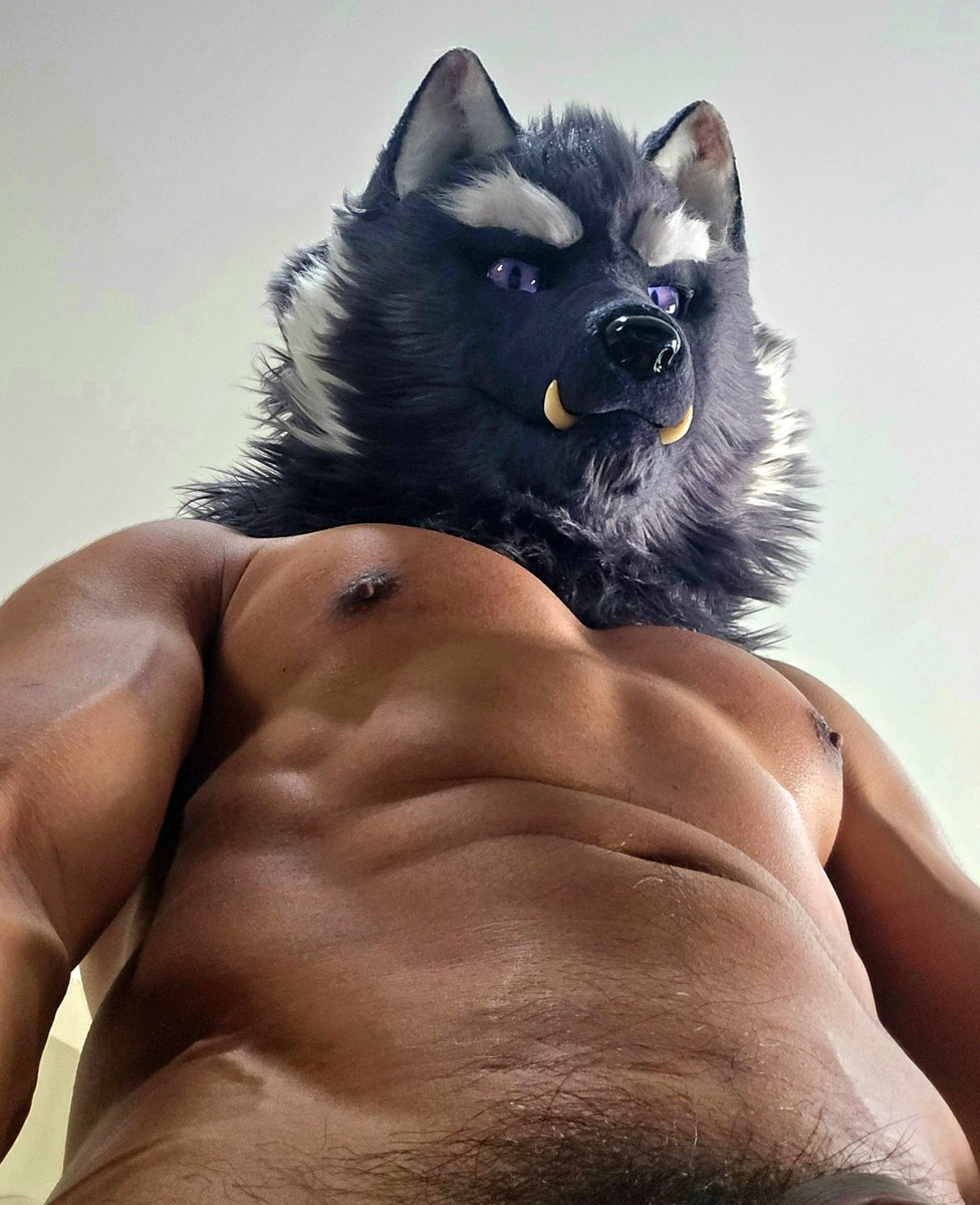 AGU | 🐺💚 tweet media