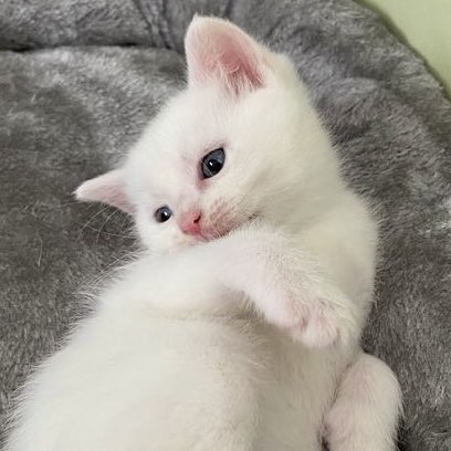 คนไหนน้องเฟิร์ส