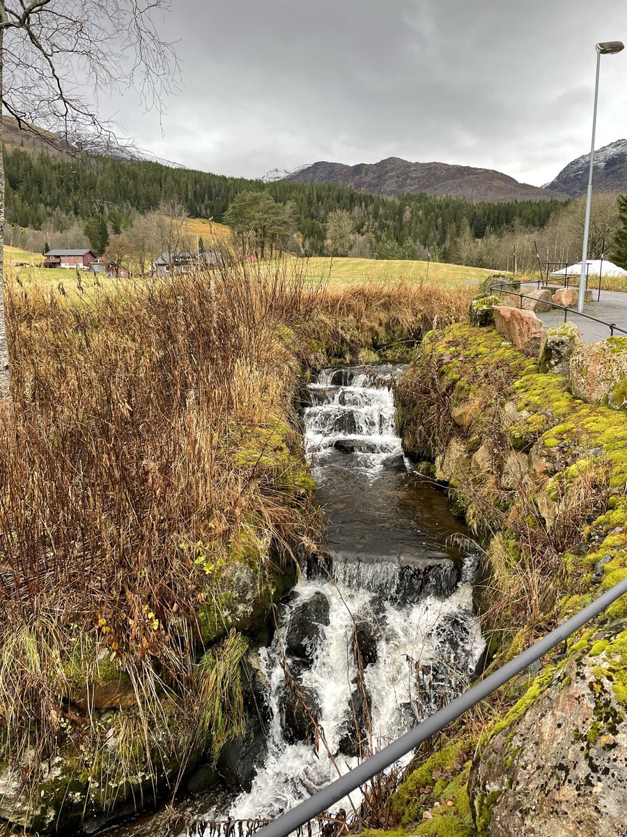 LMThands's tweet photo. @midwestern_ope Great Grandfather went from Haukedalen, Norway to farming in Iowa. I got to see it myself in 2022.  It’s at the end of longest fjord, nestled between a couple mountains and a lake. https://t.co/OZOpSxFhLt