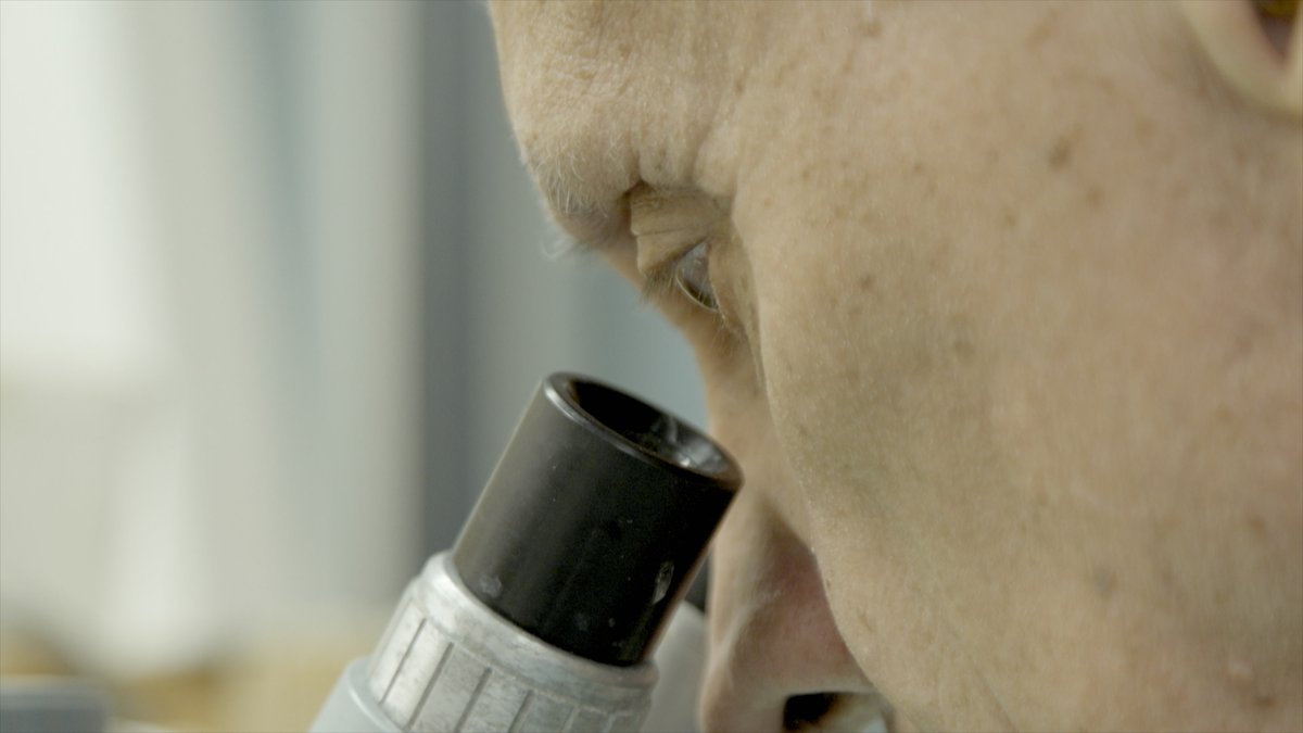 🧠 Neurociencia Colombia tweet media