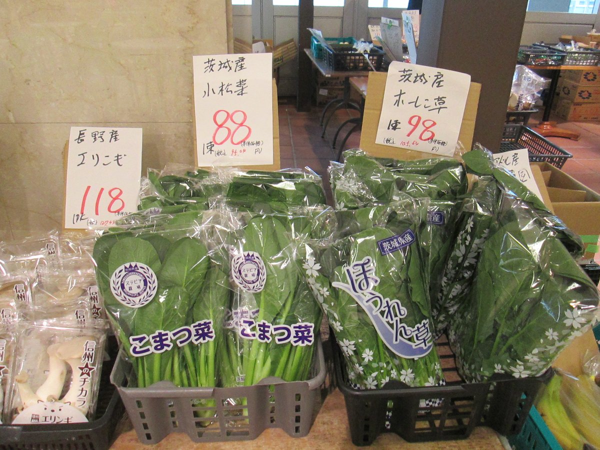 TFTビル【公式】 tweet media