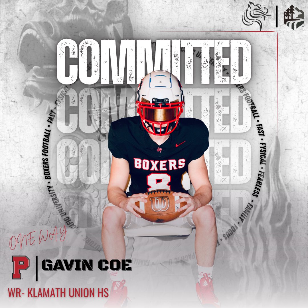 Gavin Coe tweet media