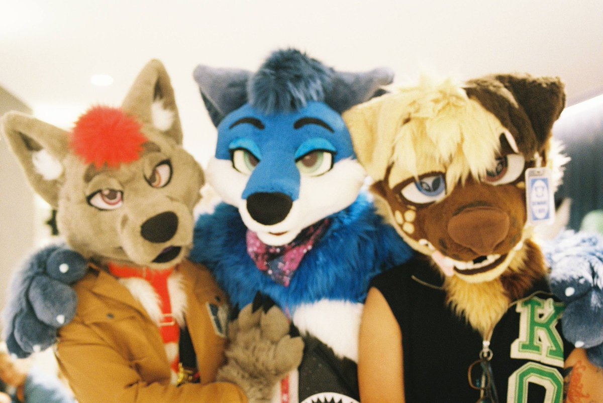 Such a cute photo 😊
📸: <a href="/Belmont_Lion/">Belmont! 🔜 FurDU</a>