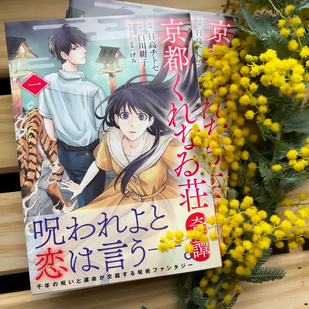 日高チトセ✨ tweet media