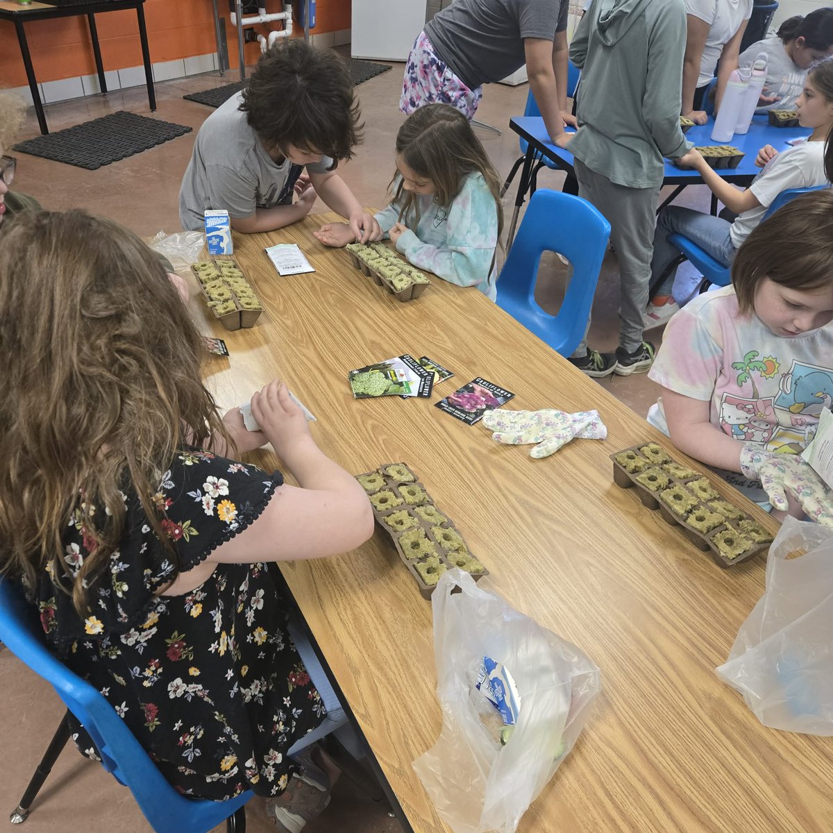 Pleasant View School tweet media