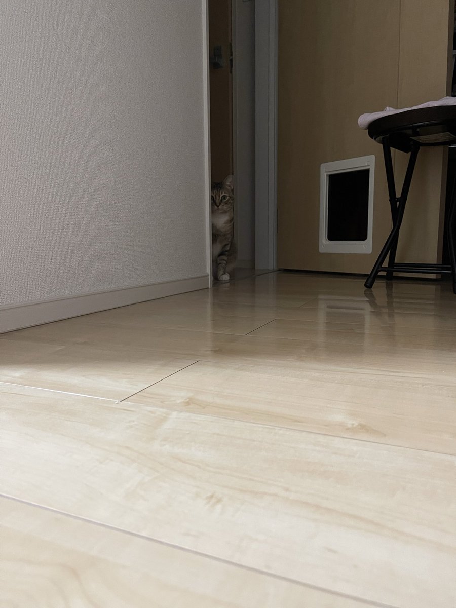 うめのこんぶ tweet media