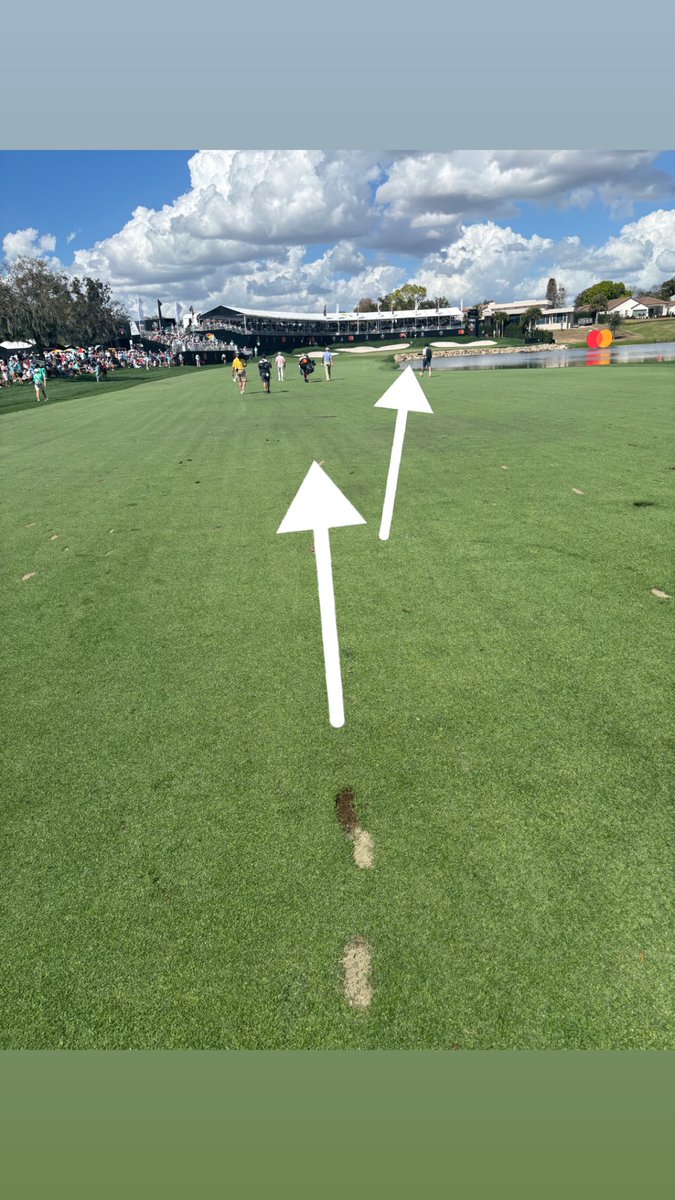 Smylie Kaufman tweet media