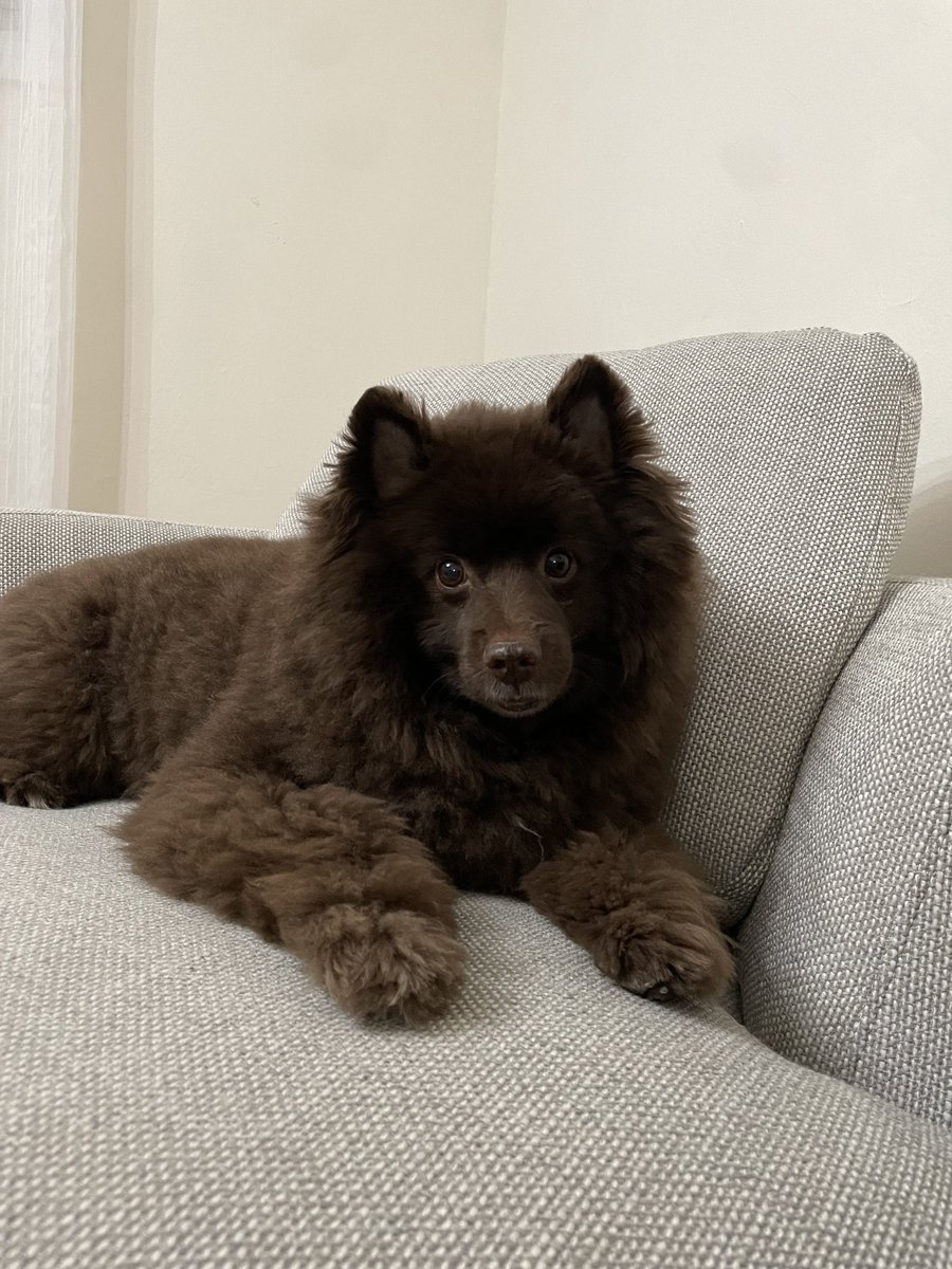 Charrrrr💜 tweet media