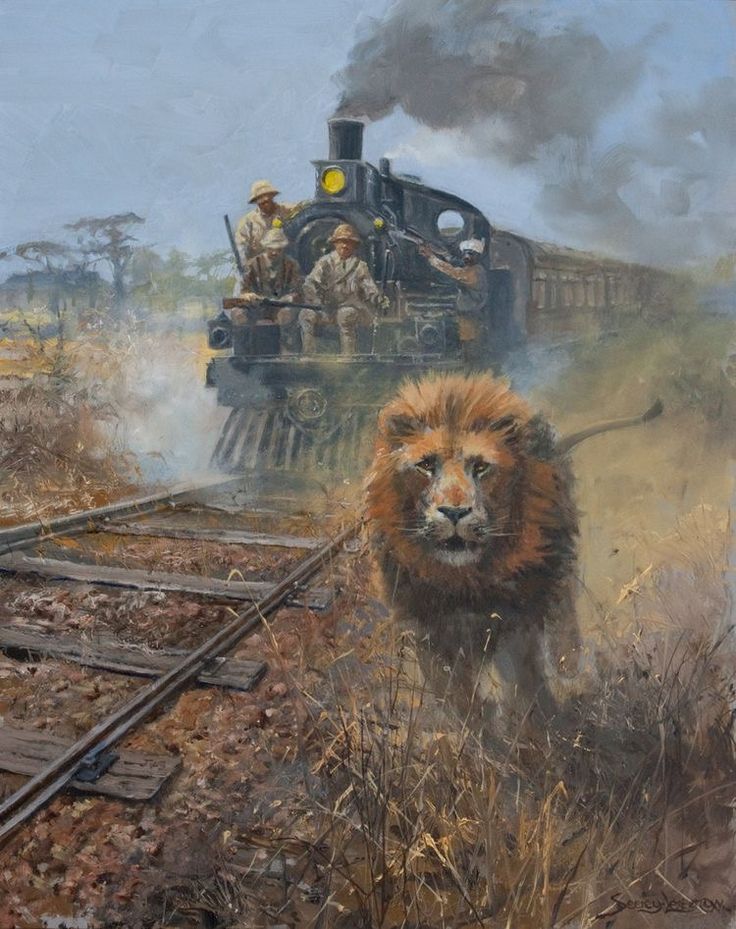 The Great Wild tweet media