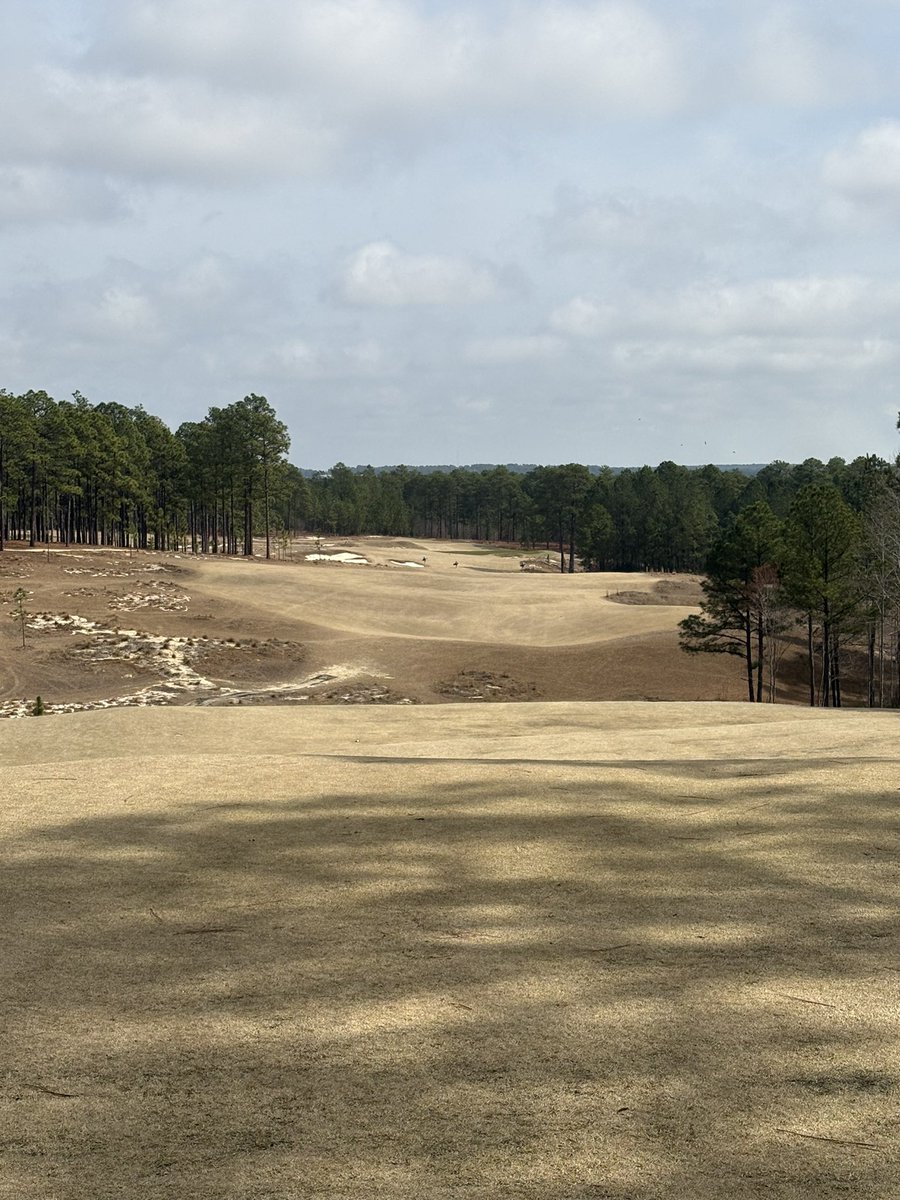 Ball State Men’s Golf tweet media