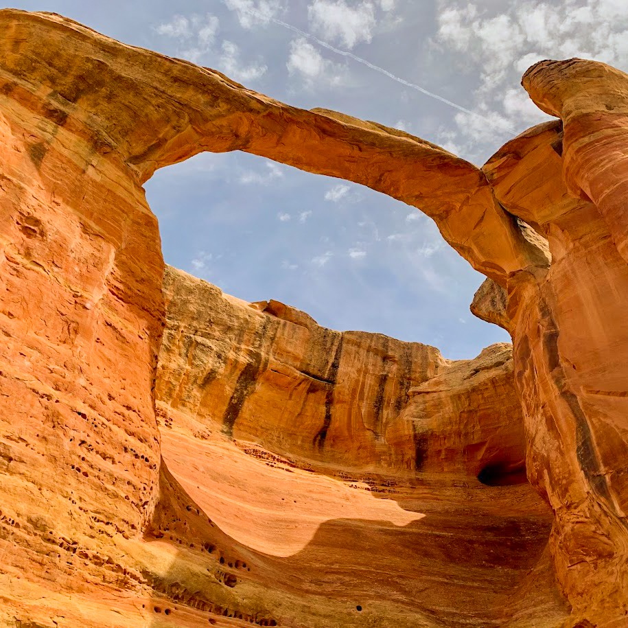 Visit Grand Junction tweet media