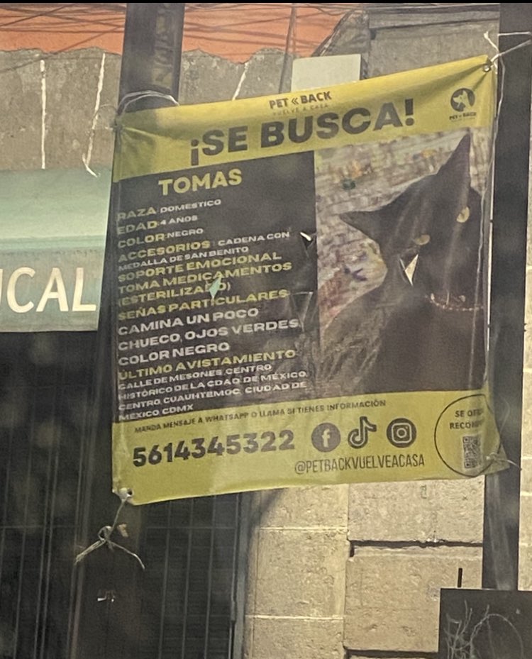 Visto por última vez en la calle Mesones en el centro histórico