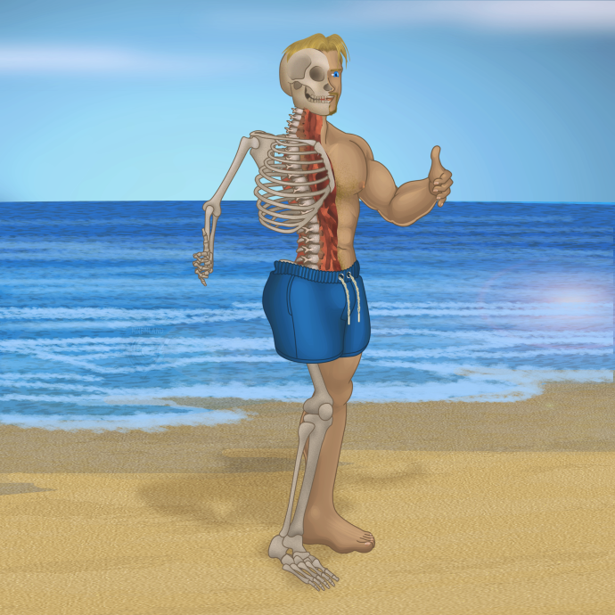 B half skeleton (censored)