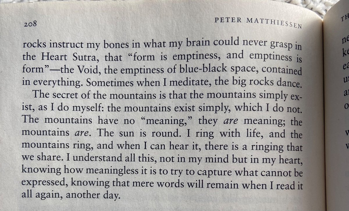 b h (@erotomanes) on Twitter photo 