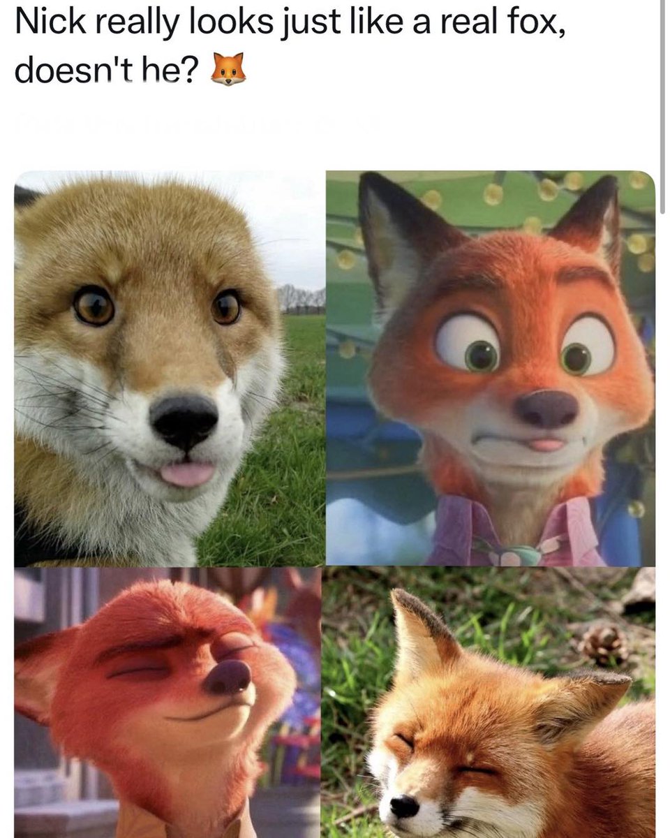 Nick Wilde in real life.