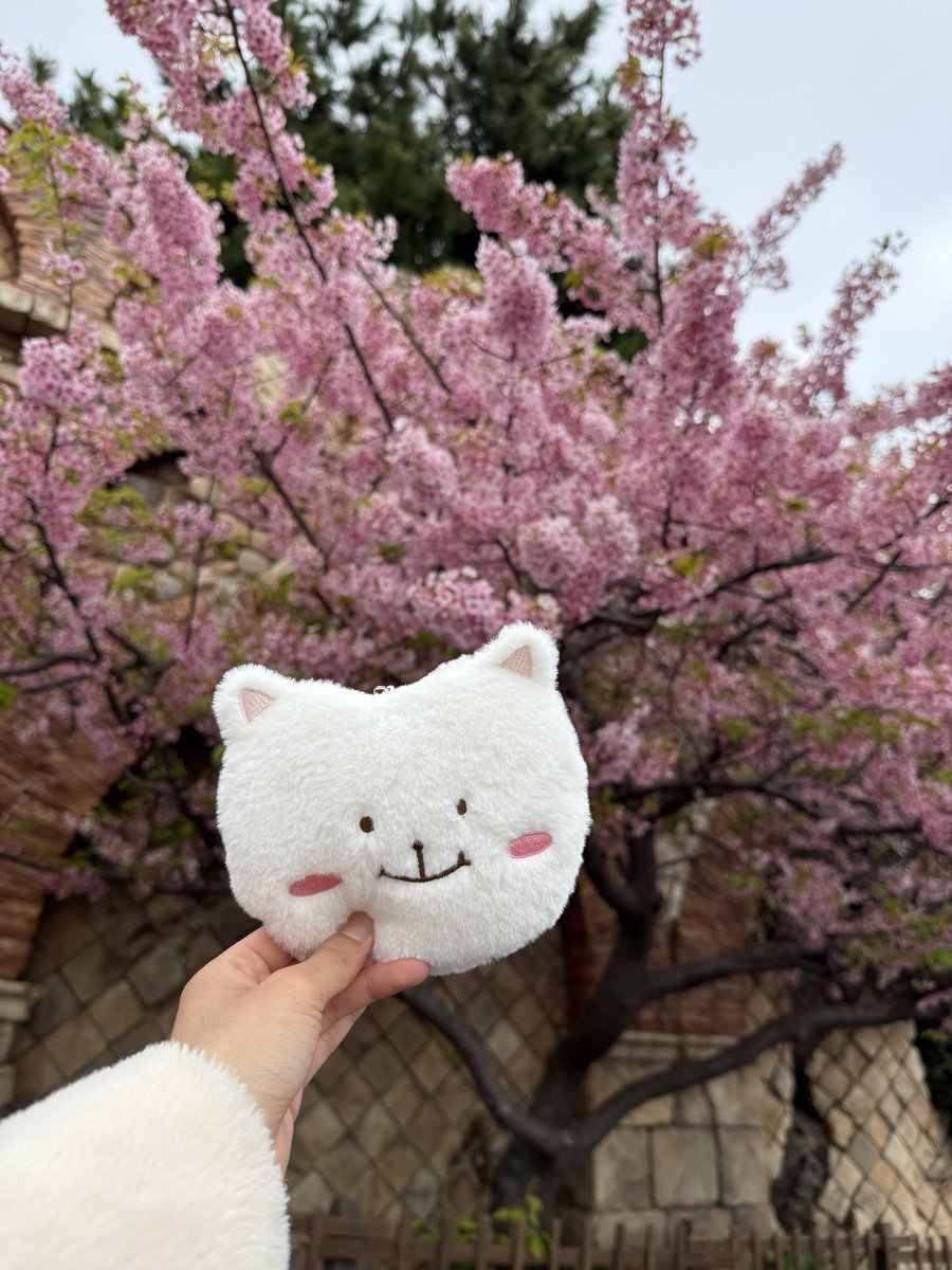 ありちゃん(低浮上) tweet media