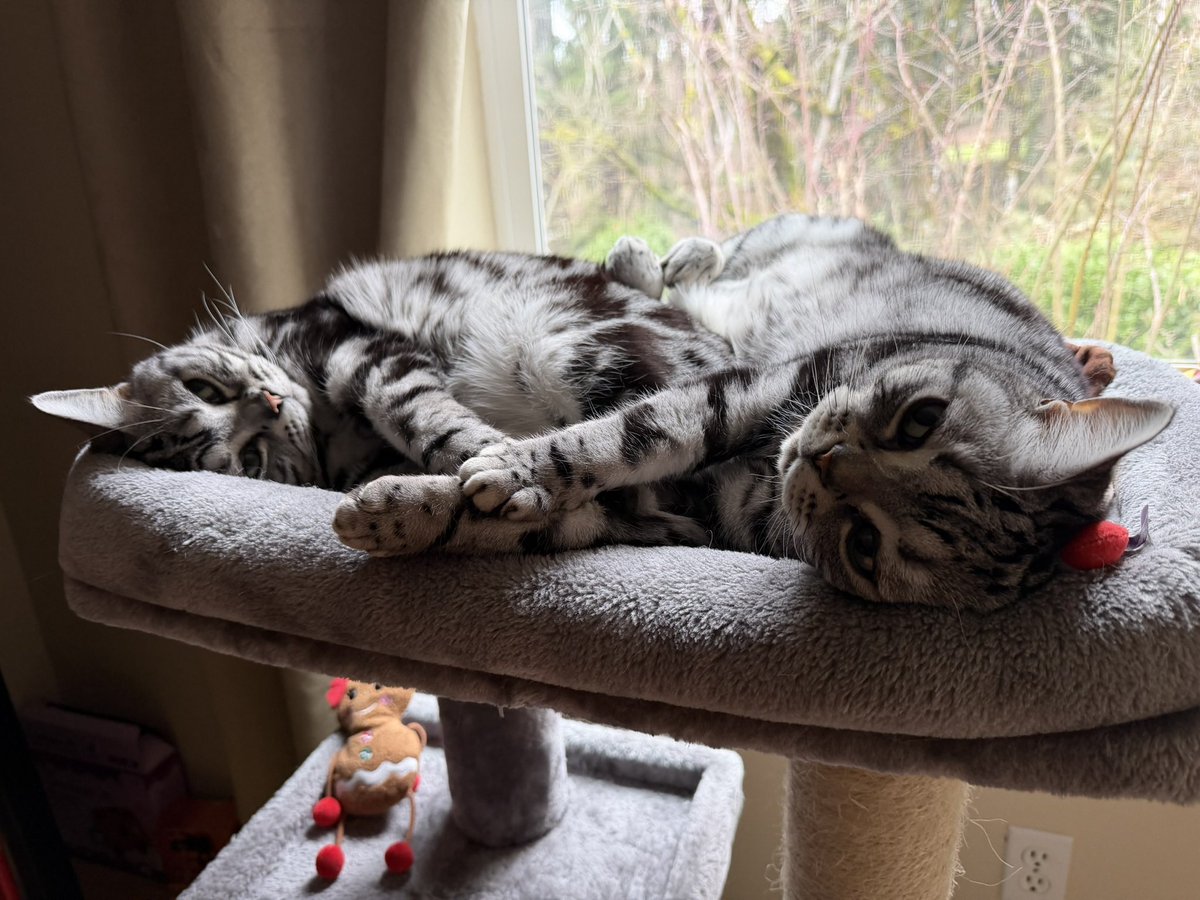 GoodTimesWithScar tweet media