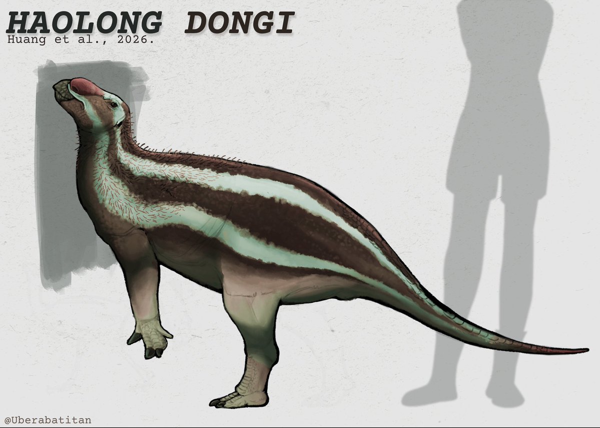 <a href="/VinyCraft4/">Mano Vini #UCRM</a> Sim já, desde meu terceiro ano do fundamental. Uns dois anos atrás meus amigos do curso também mas era resenha, eu também ria. Hoje tenho mais disposição pra falar sobre esses assuntos. Ser amante de paleontologia e ser paleoartista é uma das melhores coisas q eu pude ter e ser.