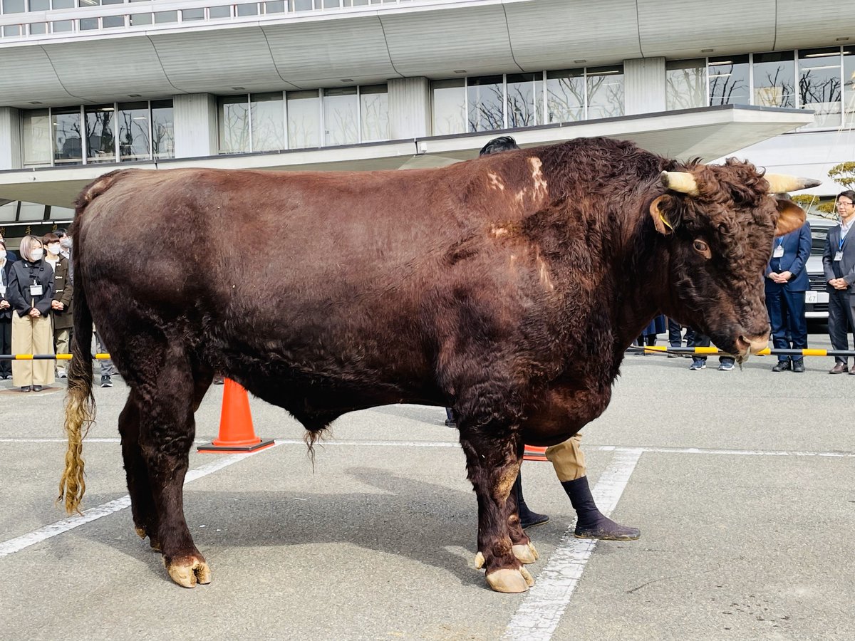 カンナ (@61kanna3) / Posts / X