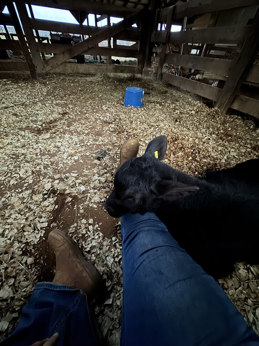 rylie ⊬ tweet media