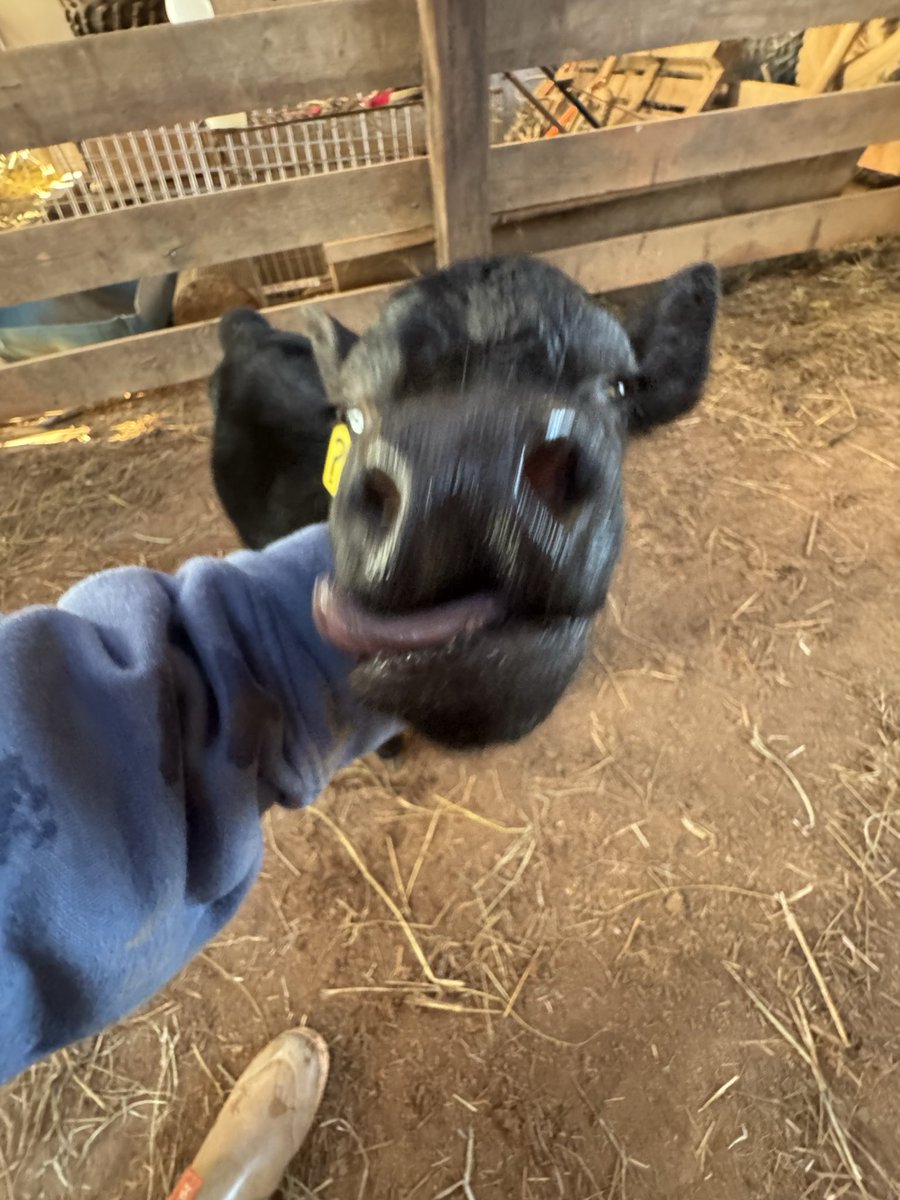 rylie ⊬ tweet media