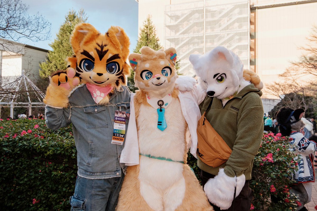 ハブちゃん➡️HiFurry tweet media