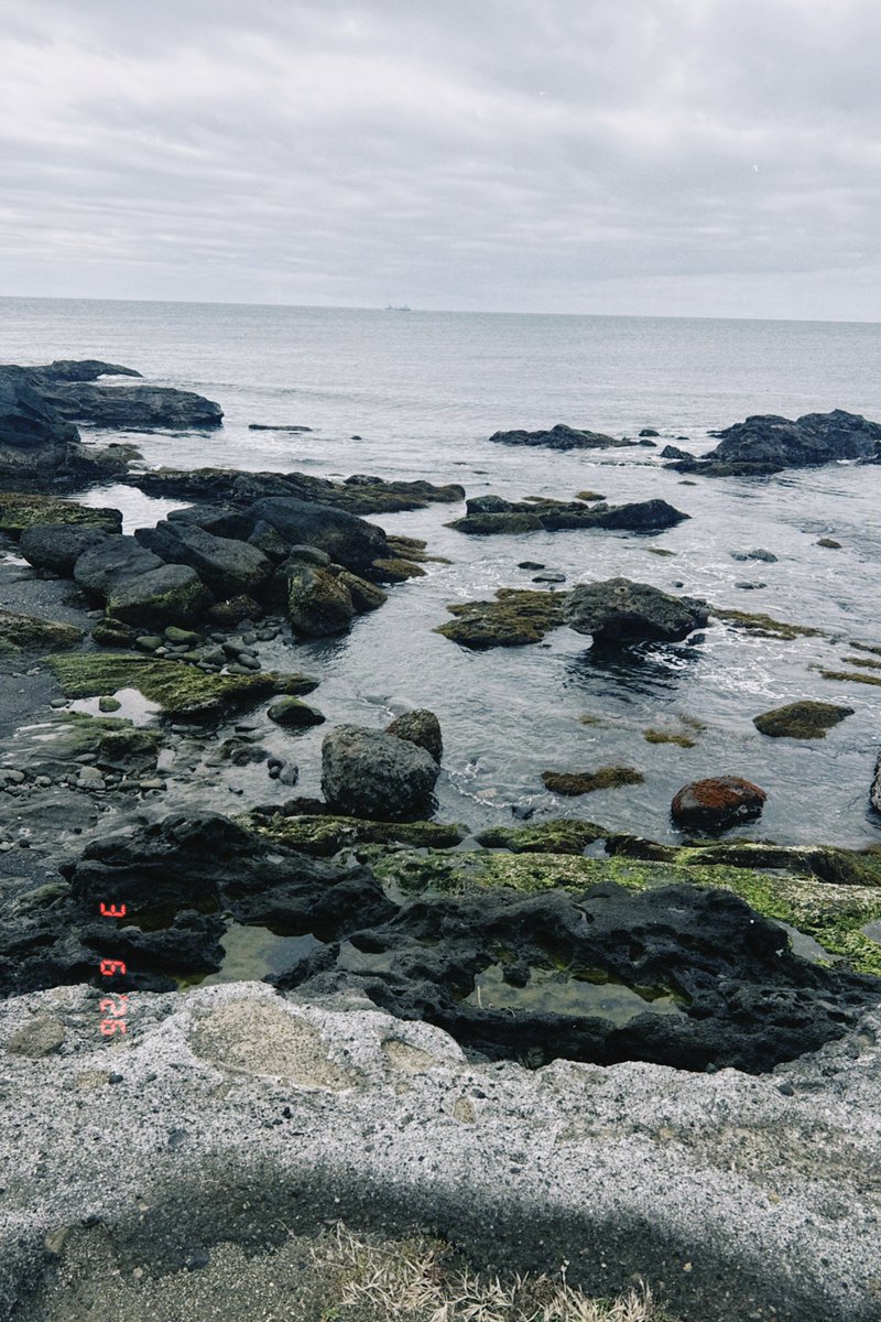 石上 龍/HAT tweet media