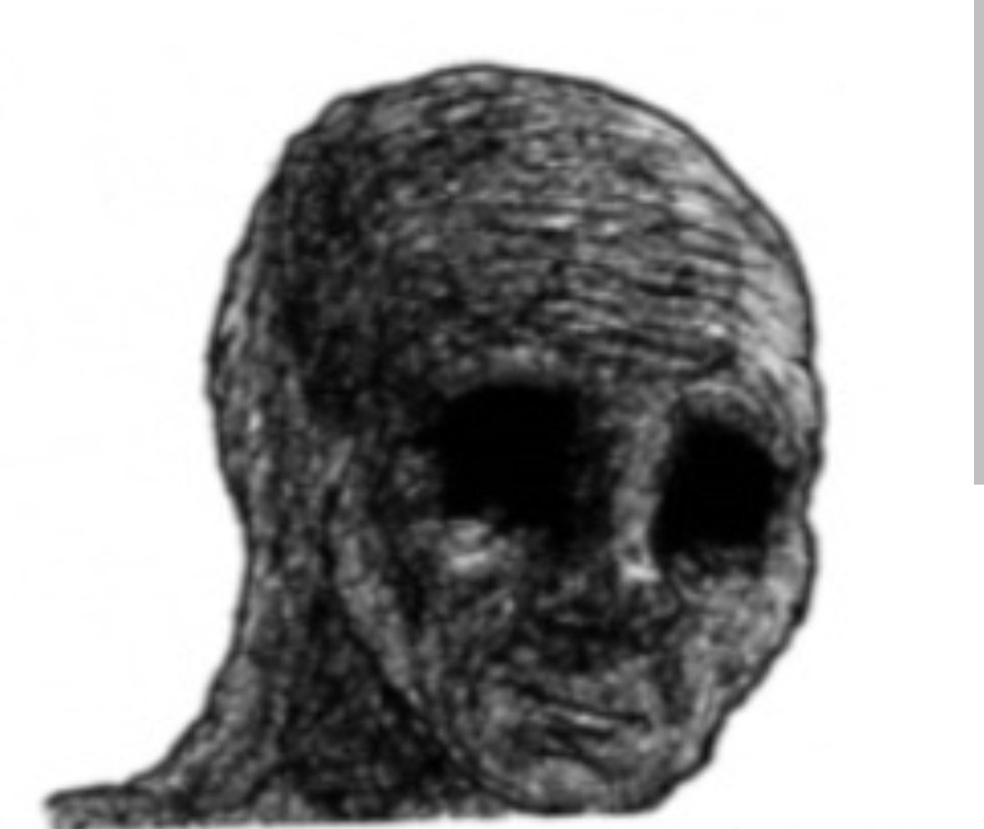 WickRider tweet media