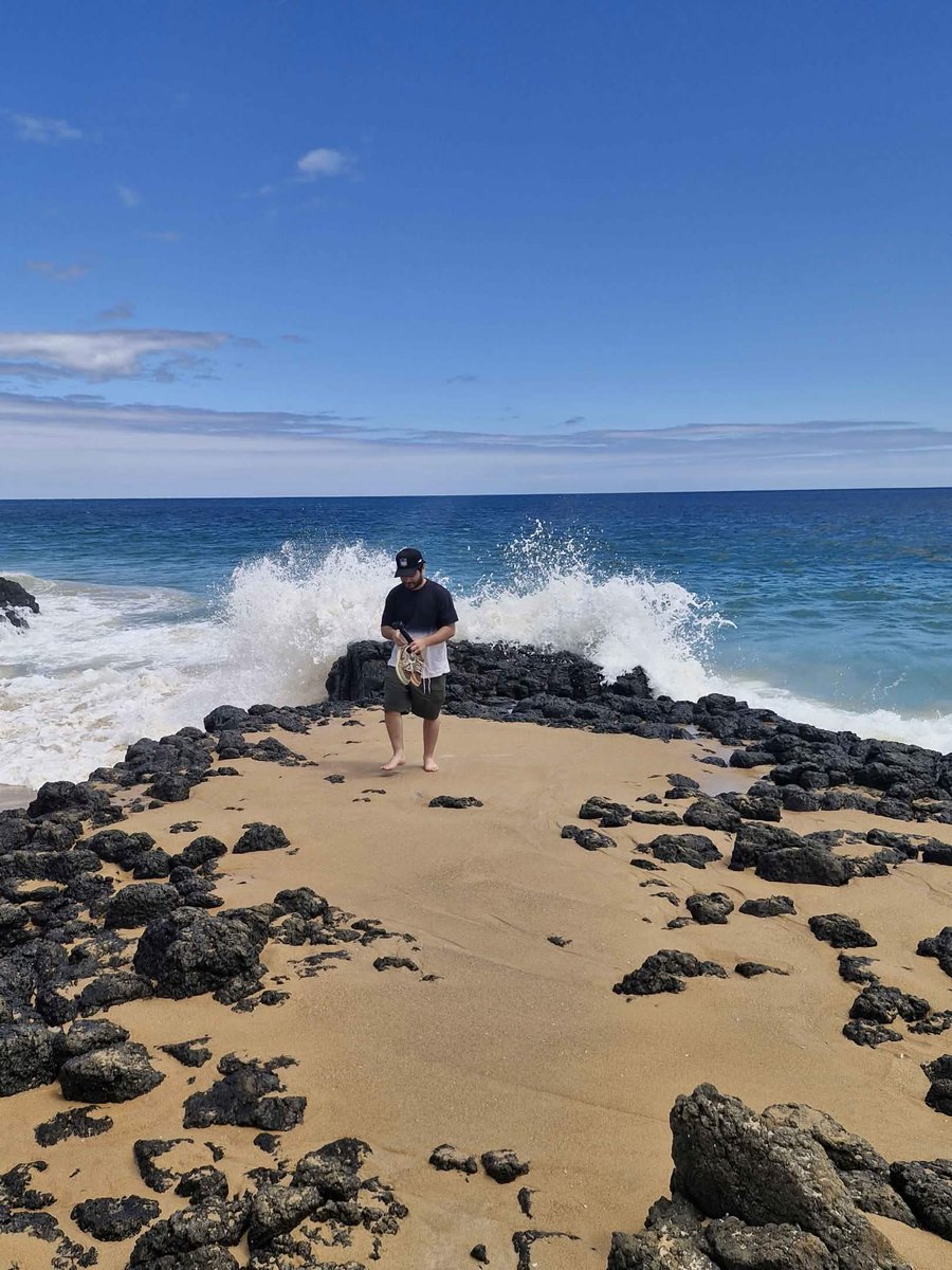 JDraycraft tweet media