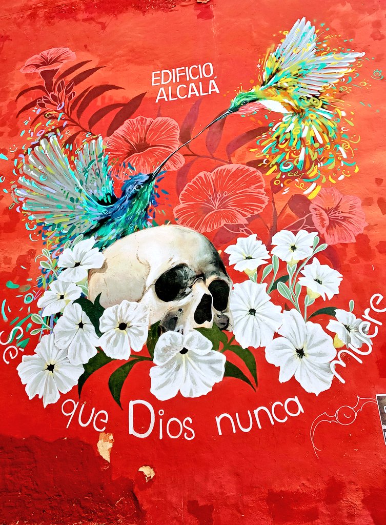 Oaxaca, te amo.

"Sé que Dios nunca muere"💙