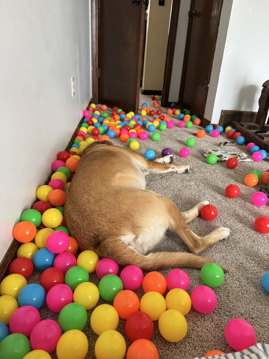 extra mommy tweet media